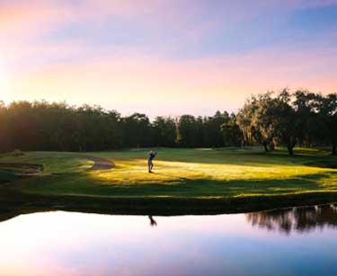 stay at Innisbrook Resort