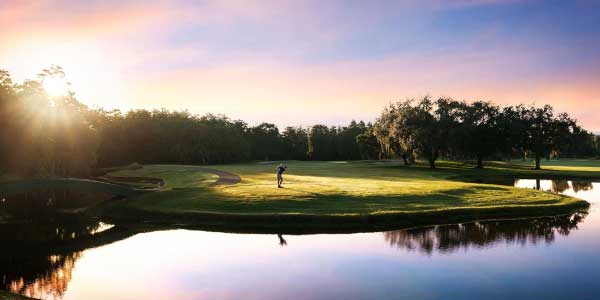 stay at Innisbrook Resort